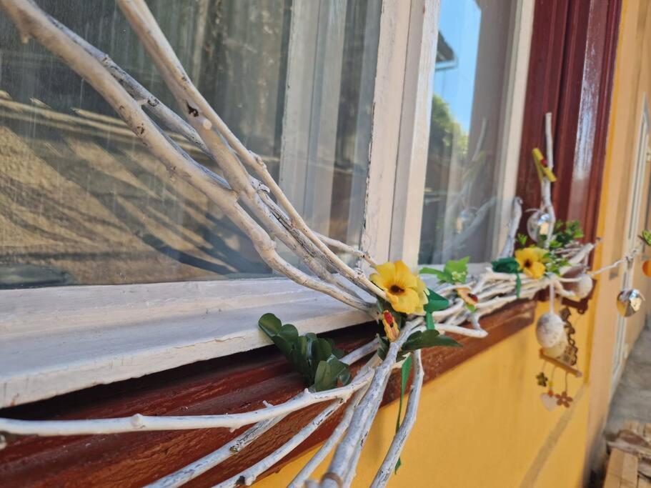 Flh - Apartament Mai Cu Aroma De Cafea Si Ceai Sibiu Esterno foto
